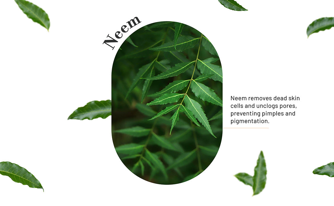 Neem Travel Pack Face Wash for Deep Clean & Acne Control